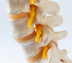 CRANIO CERVICAL THERAPEUTICS